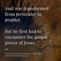 Transformed Saul