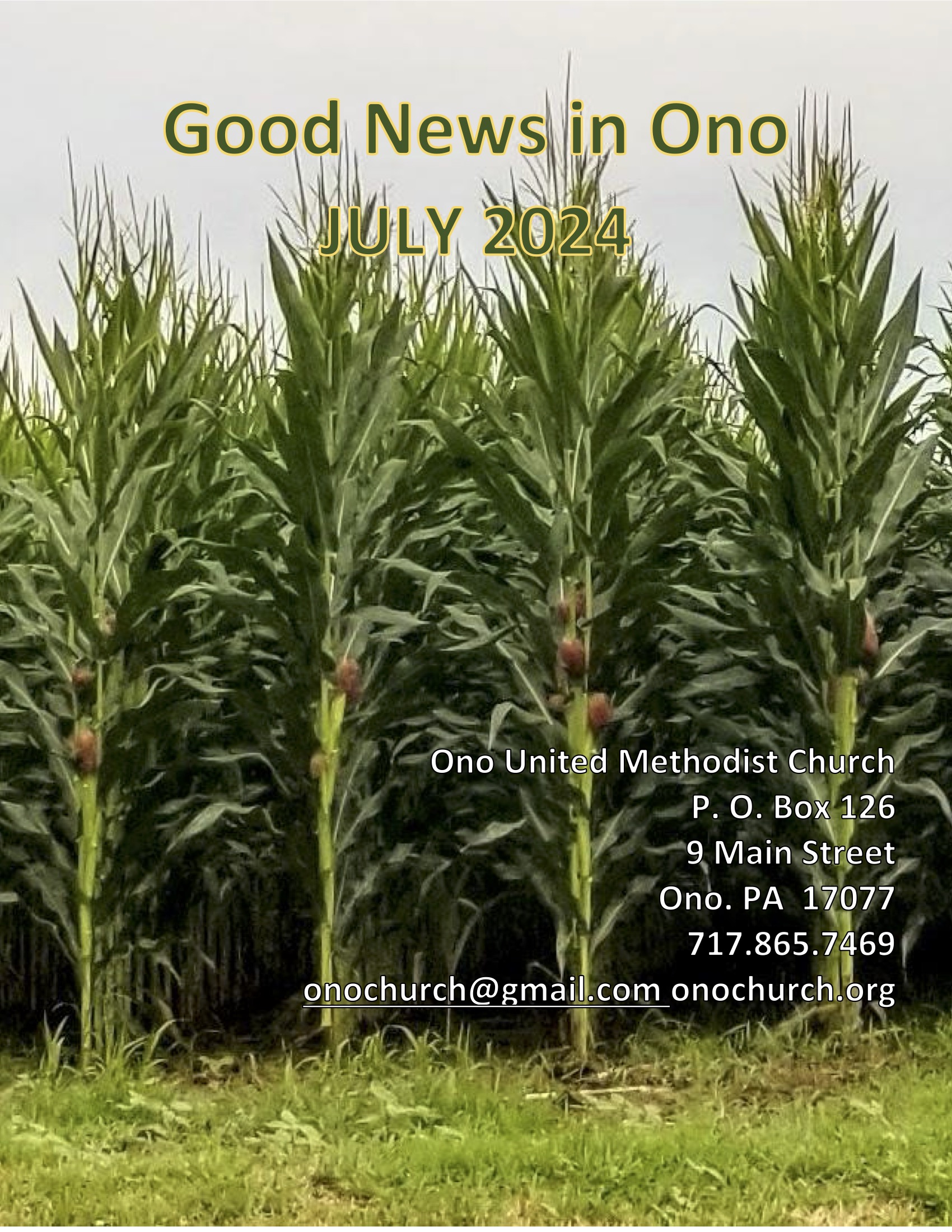 July-2024-Good-News-in-Ono-Newsletter