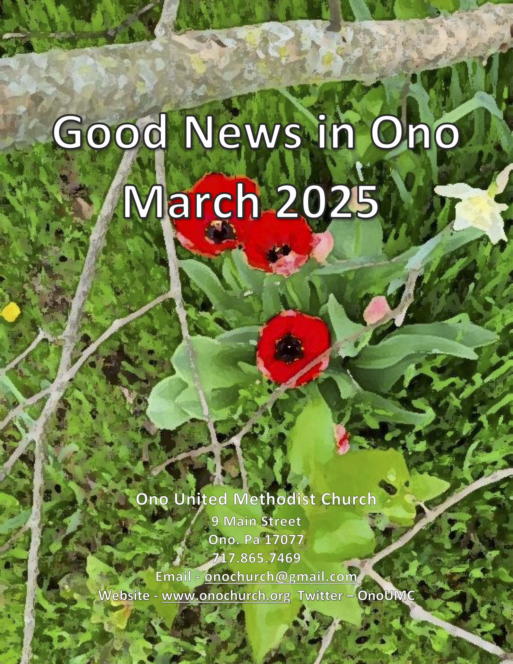 March-2025-Good-News-in-Ono-Newsletter-1